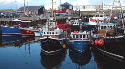 Orkney fishing boats